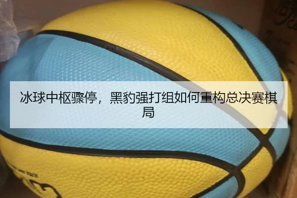 冰球中枢骤停，黑豹强打组如何重构总决赛棋局